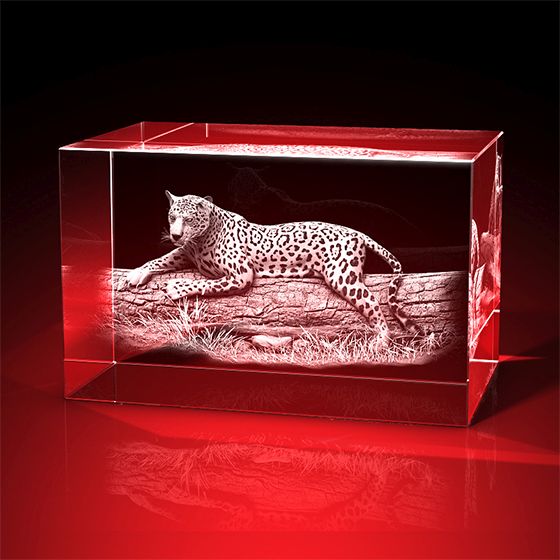 Tiere