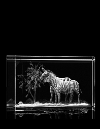 quader_50x80x50_quer_1_2015030213041113_mini