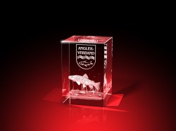 Vereinsmitglied Wertschätzung - Quader – GLASFOTO.COM