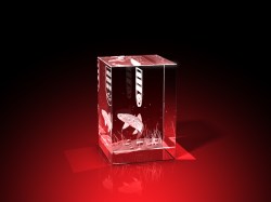 Vereinsmitglied Wertschätzung - Quader – GLASFOTO.COM