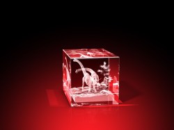 Brachiosaurier - Quader – GLASFOTO.COM