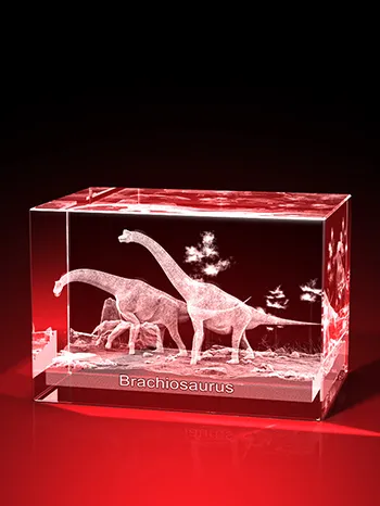 Brachiosaurier - Quader – GLASFOTO.COM
