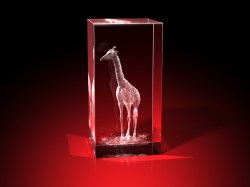Giraffe - Quader – Giraffen Bilder bei GLASFOTO.COM