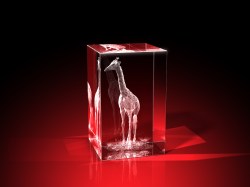 Hohe Giraffe - Quader – Giraffen Bilder von GLASFOTO.COM