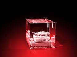 strahlend, LEDs, glasbild, geschenkidee, fotogeschenk, GLASFOTO.COM