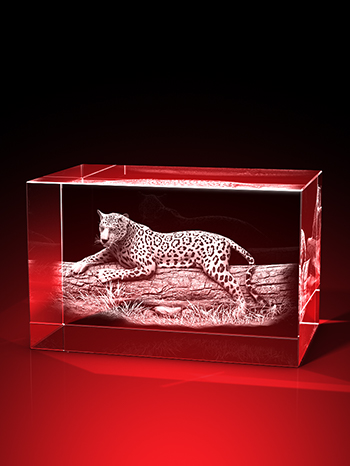leoparden bilder, leopard, 3D Tiere, Tiere in Glas, GLASFOTO.COM