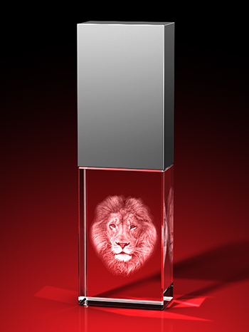 usb stick mit gravur, usb stick 64gb, usb stick, zebra bilder, GLASFOTO.COM
