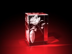 Besondere Muttertagsgeschenke : Ideen zum Muttertag : Quader mit Rose