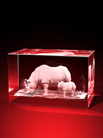 nashorn bilder, 3D Tiere, Tiere in Glas, geschenke für tierfreunde, GLASFOTO.COM