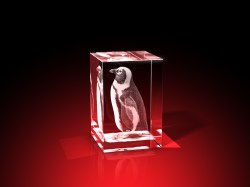 pinguin bilder, 3D Tiere, Tiere in Glas, geschenke für tierfreunde, GLASFOTO.COM