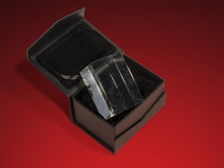 Pokale : Ein Pokal aus Glas für den Flugclub Brauna