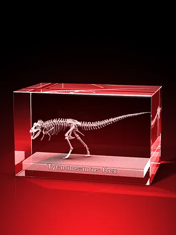 T-Rex - Quader 80 x 50 x 50 mm – GLASFOTO.COM