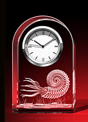 Ammonit - Uhr, Glas rund – GLASFOTO.COM