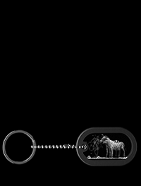 Zebras – Dog Tag Anhänger mit Gravur nur bei GLASFOTO.COM