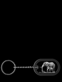 Elefanten – Dog Tag Anhänger mit Gravur nur bei GLASFOTO.COM
