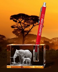Elefanten – Stifthalter - Stifthalter mit Elefanten Bildern bei GLASFOTO.COM