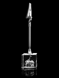 Elefanten / Giraffe - Memohalter – 3D Tiere von GLASFOTO.COM
