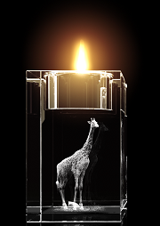 Giraffe - Teelichthalter – 3D Tiere von GLASFOTO.COM