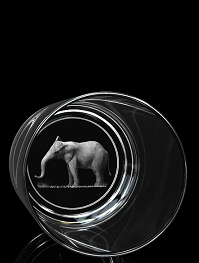 Babyelefant – Trinkglas 0,25 l – 3D Tiere von GLASFOTO.COM