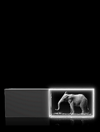 Elefanten – USB Stick mit Gravur, 4 GB
