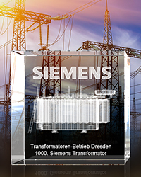 Kundengeschenk - Siemens -  Würfel